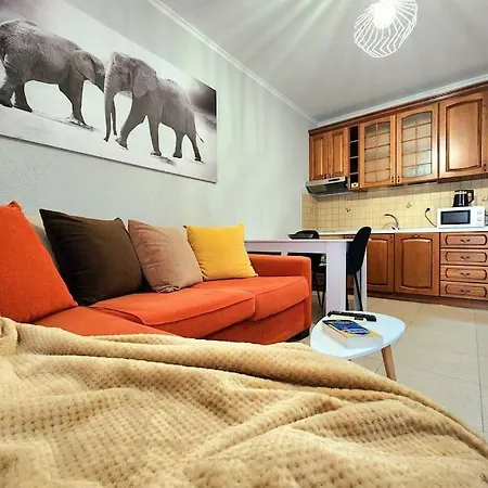 One Bd Flat Near Center With 24h Self Check In Apartamento Tirana