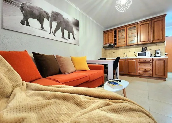 One Bd Flat Near Center With 24h Self Check In Apartamento Tirana